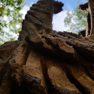 20170604_174738